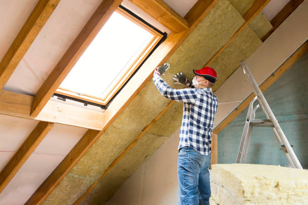 Best Garage Insulation in Creve Coeur, MO